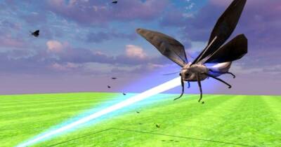 В Японии придумали истреблять вредных насекомых лазерным оружием с ИИ - focus.ua - Украина - Япония