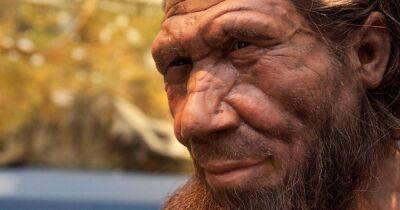 Возрастом 59 000 лет. В российской пещере обнаружили останки целой неандертальской семьи - focus.ua - Украина - Германия - Сибирь