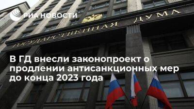 Правительство внесло в Госдуму проект о продлении антисанкционных мер до конца 2023 года - smartmoney.one - Россия