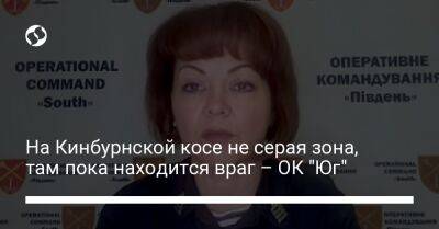 Наталья Гуменюк - На Кинбурнской косе не серая зона, там пока находится враг – ОК "Юг" - liga.net - Украина