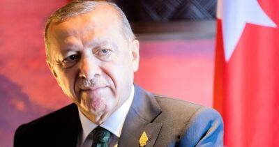 Реджеп Тайип Эрдоган - Эрдоган: Турция не будет отчитываться перед другими странами за операции в Сирии и Ираке - dialog.tj - Сирия - Турция - Ирак - Анкара - Стамбул - Курдистан