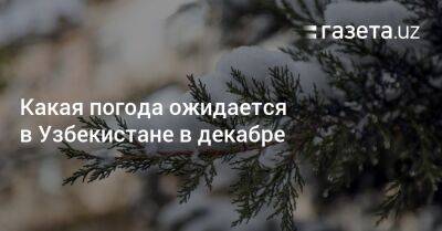 Какая погода ожидается в Узбекистане в декабре - gazeta.uz - Узбекистан