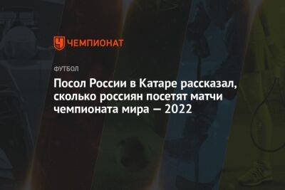 Посол России в Катаре рассказал, сколько россиян посетят матчи чемпионата мира — 2022 - championat.com - Россия - Эмираты - Катар