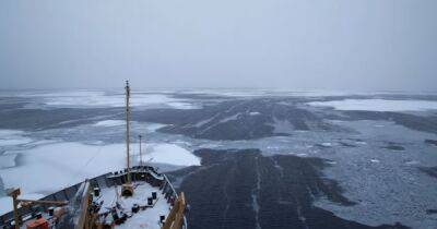 Изрезал 8-метровыми волнами. Сильнейший арктический циклон в истории изрядно потрепал морской лед (видео) - focus.ua - Украина - Гренландия - Арктика