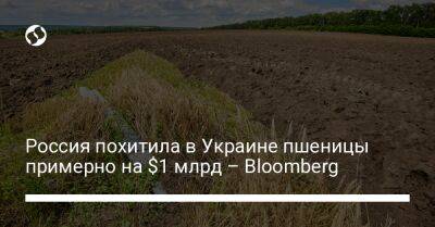 Россия похитила в Украине пшеницы примерно на $1 млрд – Bloomberg - liga.net - Россия - Украина - Иран - Ливия