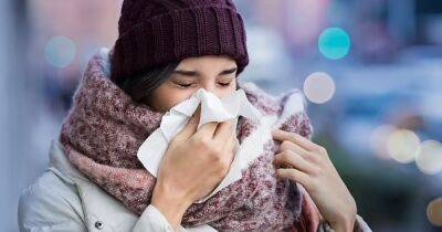 Виноват наш нос. Ученые рассказали, почему мы простужаемся зимой чаще - focus.ua - Украина - Бостон - шт. Массачусетс