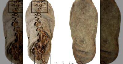 До появления Стоунхенджа и пирамид. Археологи выяснили, когда была пошита первая кожаная обувь - focus.ua - Украина - Армения - Ирландия - Находка
