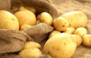 Ученые планируют создать лекарство из картофеля - charter97.org - Белоруссия - county Frontier
