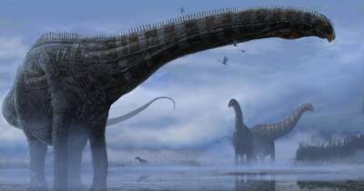 Динозавры болели респираторными заболеваниями еще 150 млн лет назад, — ученые (фото) - focus.ua - Украина - Бразилия - Мальта - штат Монтана