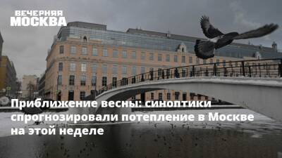 Александр Шувалов - Приближение весны: синоптики спрогнозировали потепление в Москве на этой неделе - vm - Москва - Москва