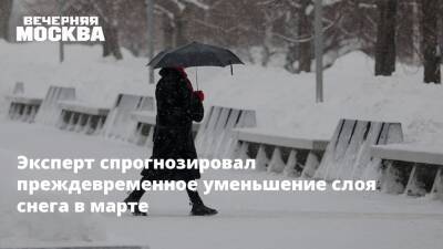 Евгений Тишковец - Александр Шувалов - Эксперт спрогнозировал преждевременное уменьшение слоя снега в марте - vm - Москва - Москва