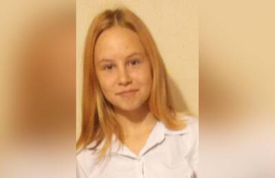 В Твери пропала 14-летняя девочка - afanasy.biz - Россия - Тверь - Тверская обл.