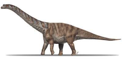 Перешли море. В Испании нашли останки титанозавров, пришедших из Африки 70 млн лет назад - focus.ua - Украина - Германия - Испания