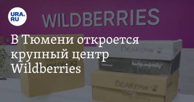 Александр Моор - В Тюмени откроется крупный центр Wildberries - ura.news - Россия - Тюмень