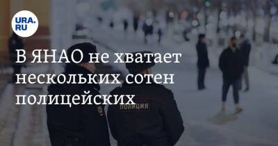 В ЯНАО не хватает нескольких сотен полицейских - ura.news - Россия - окр. Янао