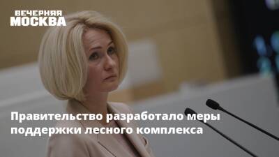 Виктория Абрамченко - Викторий Абрамченко - Правительство разработало меры поддержки лесного комплекса - vm - Россия