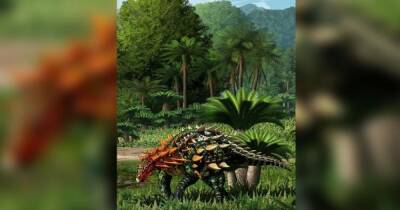 Бронированные динозавры. В Китае нашли новый вид рептилий из юрского периода - focus.ua - Китай - Украина - Лондон
