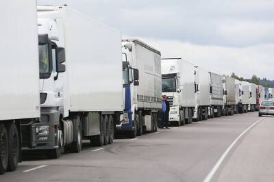 Марюс Скуодис - Польша и страны Балтии предлагают запретить перевозку российских грузов - minfin.com.ua - Россия - Украина - Белоруссия - Польша - Литва - Брюссель