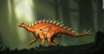 Ученые обнаружили самого старого динозавра: это абсолютно новый вид и такого еще не видели - focus.ua - Китай - Украина