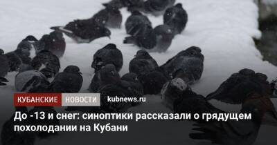 До -13 и снег: синоптики рассказали о грядущем похолодании на Кубани - kubnews.ru - Россия - Краснодарский край