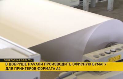 В Добруше начали производить офисную бумагу формата А4 - ont.by - Россия - Белоруссия - Добруш