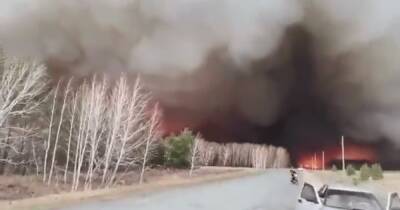В российской Сибири масштабные лесные пожары вышли из-под контроля, — Independent (видео) - focus.ua - Россия - Украина - Англия - Сибирь