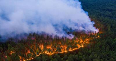 Все воюют в Украине: лесные пожары в Сибири некому тушить - dsnews.ua - Россия - Украина - Англия - Сибирь