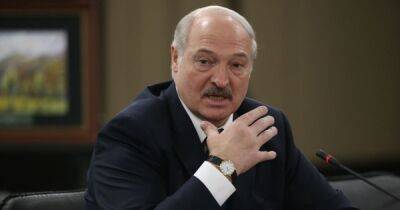 Александр Лукашенко - Лукашенко заявил, что в стране скоро будут ездить на авто не хуже "мерседеса" (видео) - focus.ua - Москва - Россия - Украина - Белоруссия - Нижегородская обл.