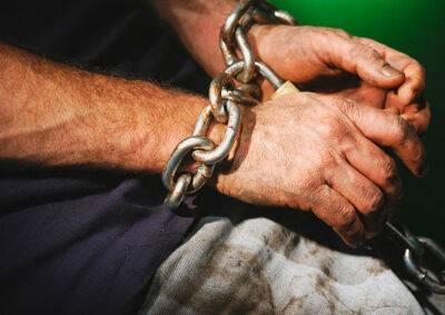 В Британии пятерых граждан Чехии осудили за работорговлю - vinegret.cz - Англия - Лондон - Чехия