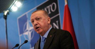 Реджеп Эрдоган - Швеция - Турция официально выдвинула условия вступления Швеции в НАТО (список) - focus.ua - Украина - Турция - Швеция - Финляндия - Анкара - Курдистан