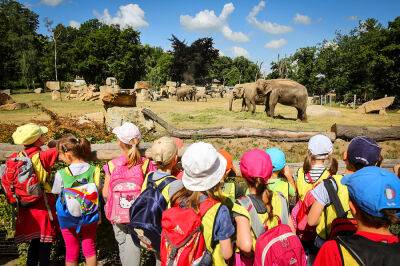 Вход для детей в зоопарк Праги на один день станет бесплатным - vinegret.cz - Чехия - Прага