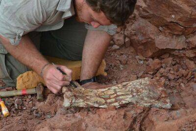 Палеонтологи нашли в Аргентине окаменелость огромного доисторического дракона смерти - lenta.ua - Украина - Мексика - Argentina
