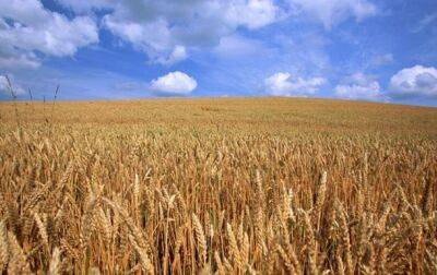 Дэвид Бизли - Запасов пшеницы в мире хватит на 10 недель - korrespondent - Россия - Украина - Пакистан - Индонезия - Шри Ланка - Продовольствие