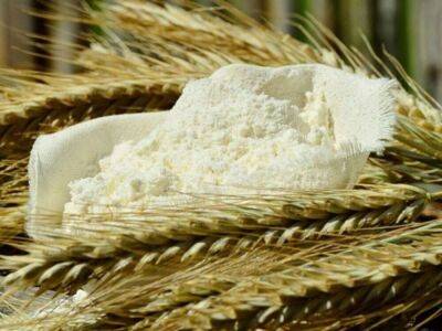 Индонезия - Эксперт Gro Intelligence: Мировых запасов пшеницы на складах осталось примерно на 10 недель - smartmoney.one - Россия - Украина - Пакистан - Индонезия - Шри Ланка