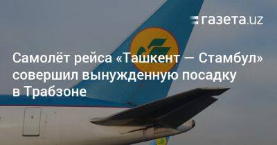 Самолёт рейса «Ташкент — Стамбул» совершил вынужденную посадку в Трабзоне - gazeta.uz - Узбекистан - Ташкент - Стамбул