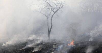 Под Лудзой возник крупный пожар: площадью в два гектара горела прошлогодняя трава - rus.delfi.lv - Латвия