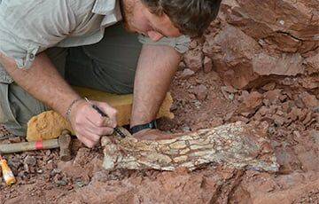 Ученые нашли в Аргентине огромного доисторического дракона - charter97.org - Белоруссия - Мексика - Argentina