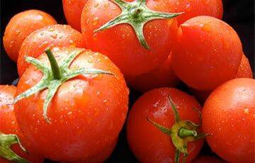 Ученые заставили томат вырабатывать витамин D - charter97.org - Белоруссия