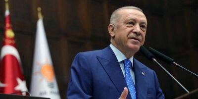 Реджеп Тайип Эрдоган - Турция ожидает «справедливого мира» между Россией и Украиной — Эрдоган - nv.ua - Россия - Украина - Турция - Франция