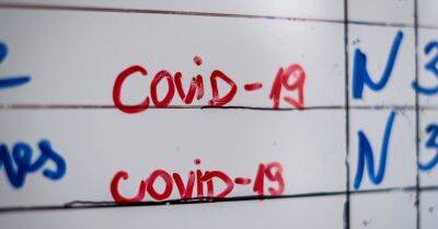 За сутки выявлено 188 новых случаев Covid-19, скончались три пациента - rus.delfi.lv - Латвия - Covid-19 - Скончался
