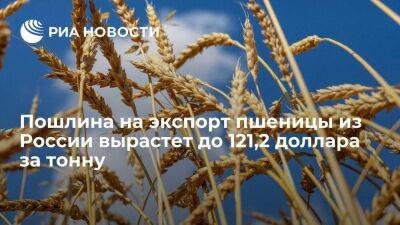 Минсельхоз: пошлина на экспорт пшеницы с 1 июня вырастет до 121,2 доллара за тонну - smartmoney.one - Россия