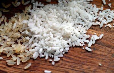 Правительство России может ввести запрет на экспорт риса с июля по декабрь 2022-го - ont.by - Россия - Белоруссия - ДНР - ЛНР - Апсны - респ. Южная Осетия