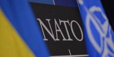 Швеция - Украина примет участие во встрече министров обороны стран НАТО в июне - nv.ua - Россия - США - Украина - Грузия - Швеция - Финляндия - Брюссель