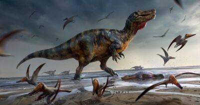 Ученые обнаружили останки крупнейшего наземного хищника Европы - focus.ua - Украина - Англия - Австралия