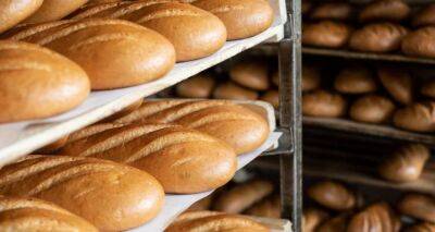 В Украине дорожает хлеб - cxid.info - Украина
