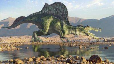 Елен Коваль - Палеонтологи обнаружили останки крупнейшего в Европе динозавра - lenta.ua - Китай - Украина - Англия