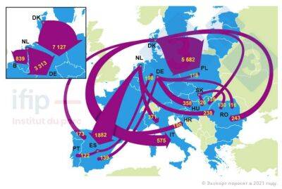 Настоящее и будущее торговли живыми свиньями в ЕС - produkt.by - Бельгия - Белоруссия - Германия - Дания - Голландия - Covid-19