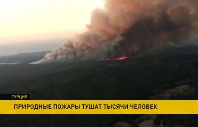 Крупные пожары в Турции: горят леса Мармариса - ont.by - Белоруссия - Турция