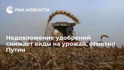 Владимир Путин - Александр Лукашенко - Путин: недовложение удобрений снижает виды на урожай на следующий год, это печально - smartmoney.one - Россия - Белоруссия
