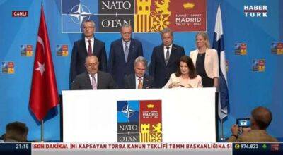 Реджеп Эрдоган - Саули Ниинист - Ирина Костюченко - Швеция - Турция разблокировала принятие Швеции и Финляндии в НАТО - lenta.ua - Украина - Турция - Швеция - Финляндия - Мадрид